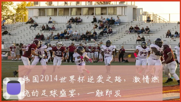 韩国2014世界杯逆袭之路，激情燃烧的足球盛宴，一触即发