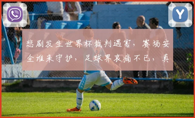 悲剧发生世界杯裁判遇害，赛场安全谁来守护，足球界哀痛不已，真相待查逗