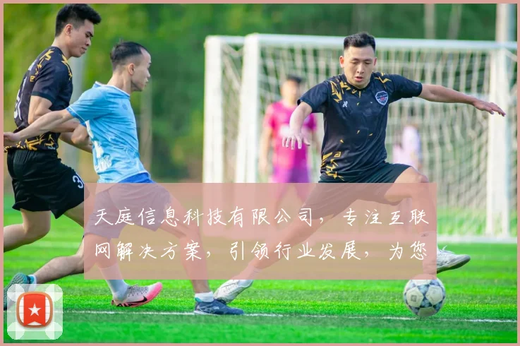 天庭信息科技有限公司，专注互联网解决方案，引领行业发展，为您提供专业服务，创新技术，共赢未来